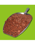 Clay, Mapito, Perlite...