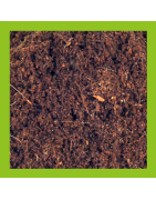 Coco substrate, buy online