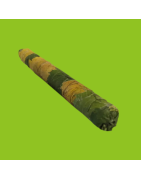 Cannagar