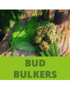 TP - Bud Bulkers