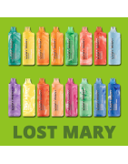 Vape Pen Lost Mary by Elfbar - Achat en ligne